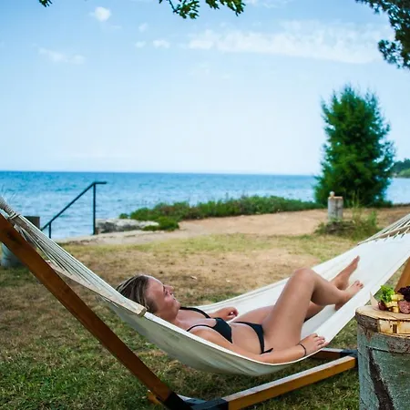 Mimoza Hotel 4*