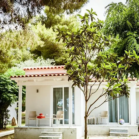 Mimoza Hotel 4*