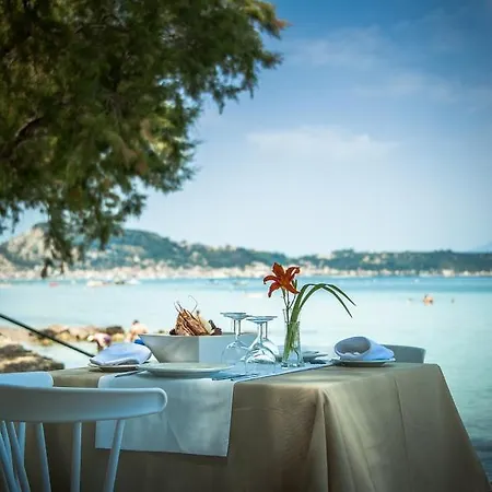 Mimoza Hotel 4*