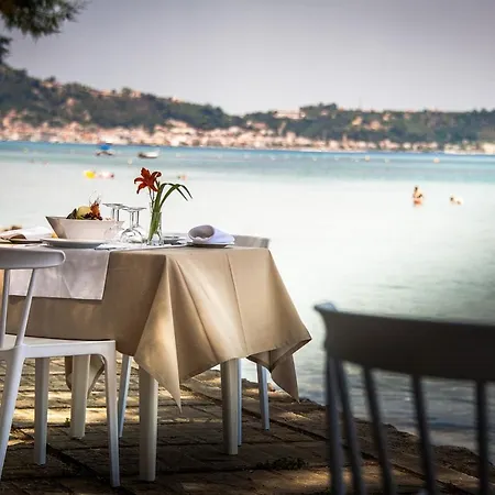 Mimoza Hotel 4*
